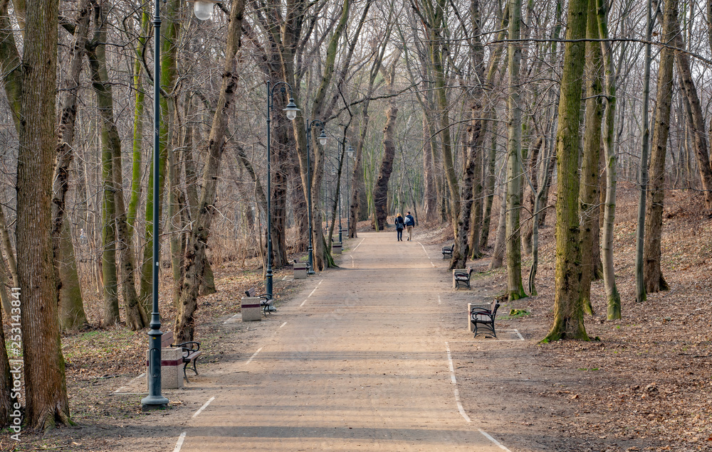 Scenic walkway in the autumn park