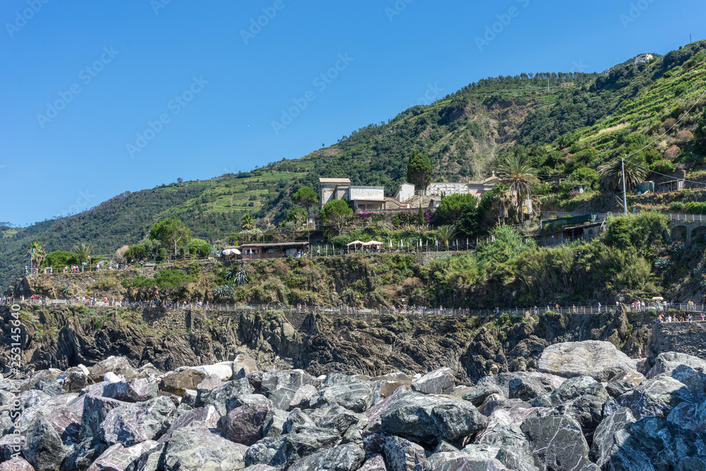 Naklejka premium Italy,Cinque Terre,Riomaggiore, a rocky mountain with trees in the background