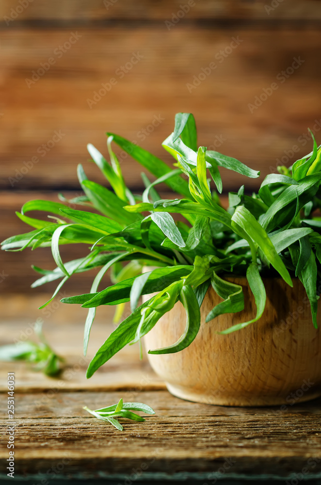 Fresh Tarragon Bunch on a dark wood background Fresh Tarragon Bunch on a dark wood background