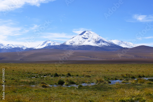 The landscape of northern Chile with the Andes Mountains and volcanoes with snow on the summit, Atacama Desert, Chile