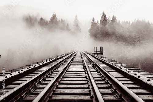 railroad, bridge, old, trestle, haze, forest, moody, black and white, vancouver island, bc, goldstream park, canada, fog, nature, atmosphere, trees, aesthetic, landscape, nature park, weather mood, we