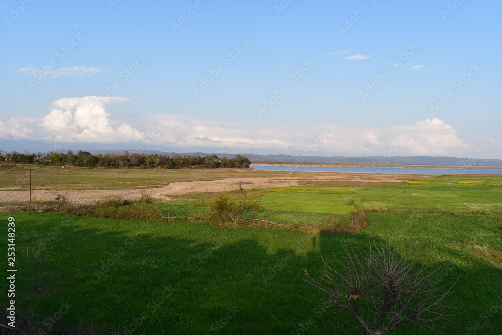 Pong Dam Lake Wildlife Sanctuary Himachal Pradesh Pong Dam Lake Wildlife Sanctuary Himachal Pradesh