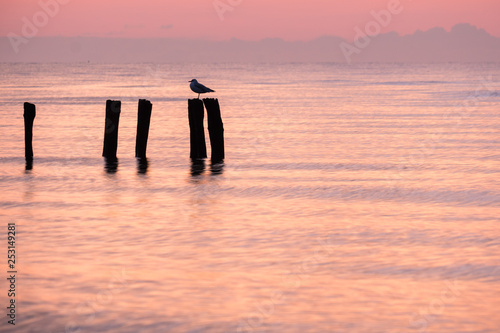 Fototapeta Naklejka Na Ścianę i Meble -  Sonnenaufgang bei Grömitz