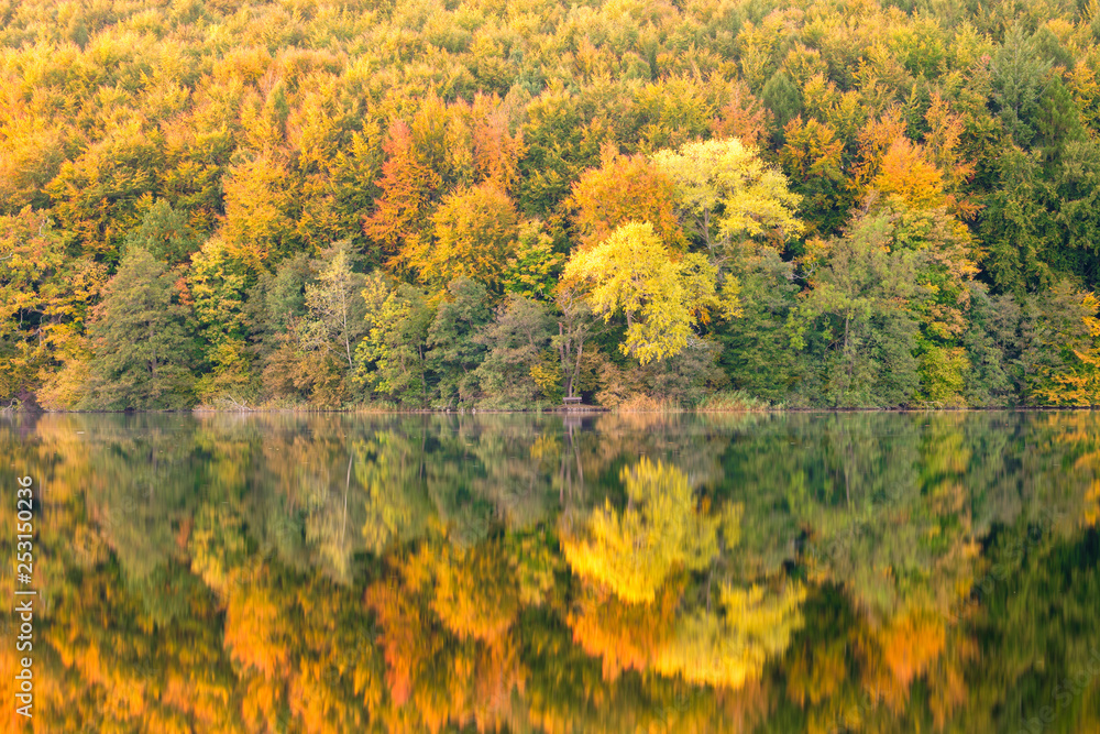 Herbstlicher Wald am Ukleisee spiegelt sich im Wasser, Eutin Schleswig-Holstein Herbstlicher Wald am Ukleisee spiegelt sich im Wasser, Eutin Schleswig-Holstein
