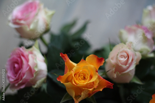 Bouquet of pink roses. Romantic floral decoration. Romantic floral still life. Happy Birthday © dainav