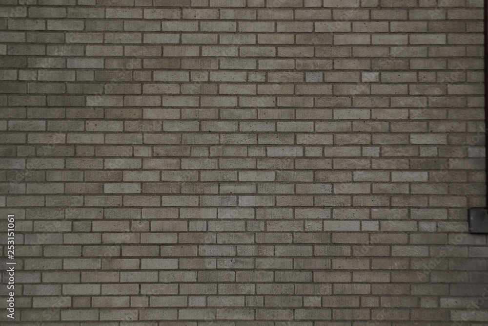 Light Brick Wall