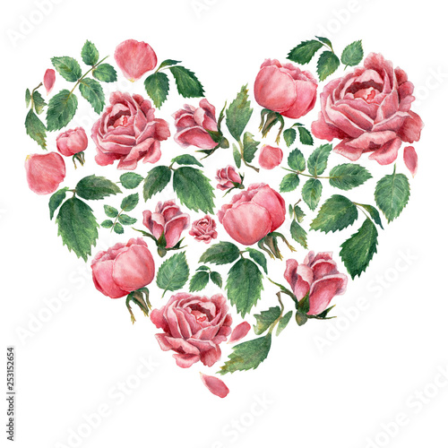 Heart shaped form filled with pink blooming roses  isolated on white  hand drawn botanical illustration.