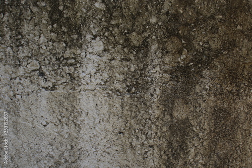 Weathered Wall 3