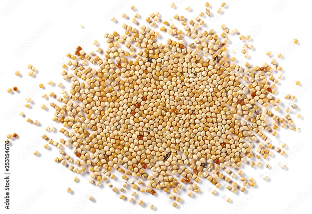 Millet, bird seed pile isolated on white background, top view Millet, bird seed pile isolated on white background, top view