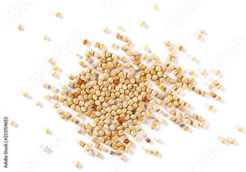 Millet, bird seed pile isolated on white background, top view