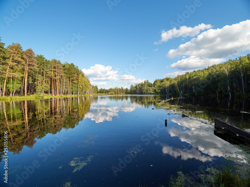 Lake with pine and birch forest on the shores.