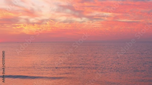 Beautiful pink sunset over the sea. Seagulls fly over the sea.