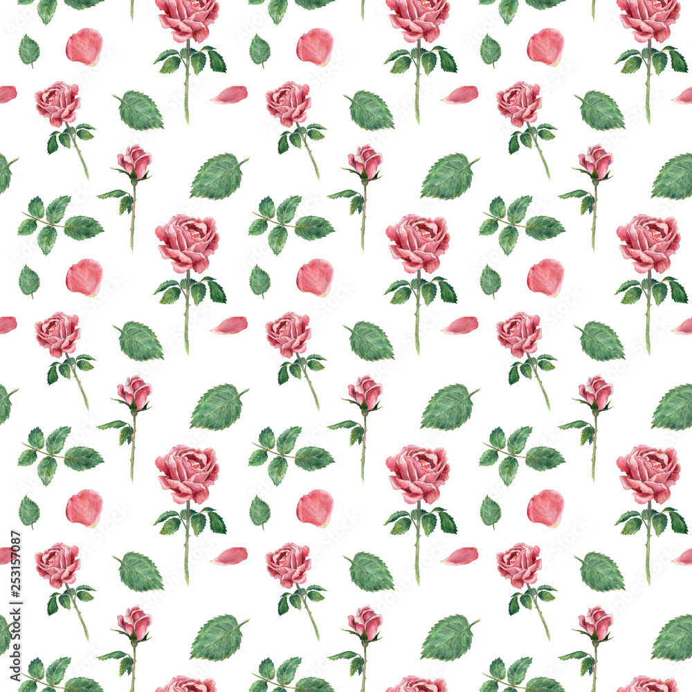 Seamless pattern, made of pink blooming roses, hand drawn botanical illustration, isolated on white.