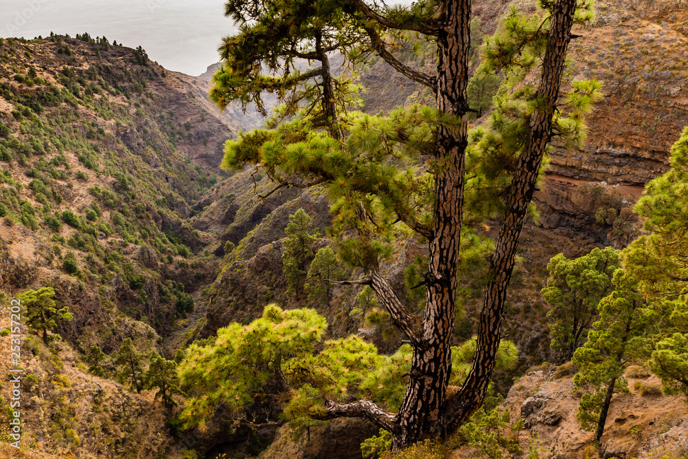ravine of Garome in La Palma, Canary Islands, Spain