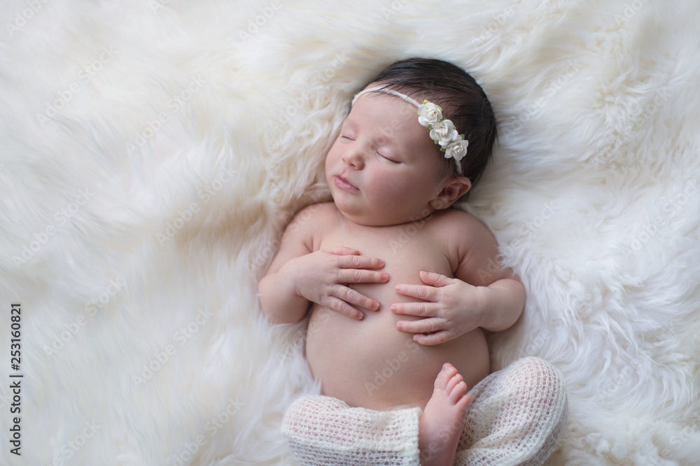 Sleeping Newborn Baby Girl Sleeping Newborn Baby Girl