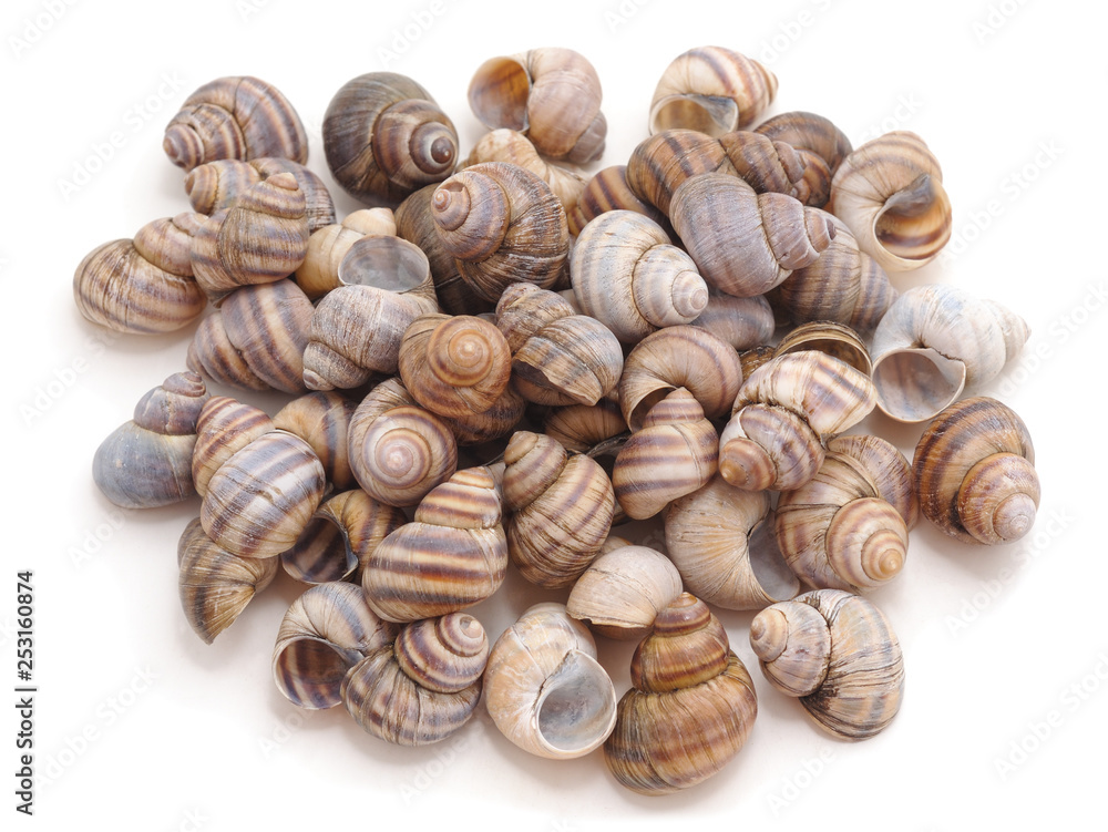 Bunch of empty shells. Bunch of empty shells.