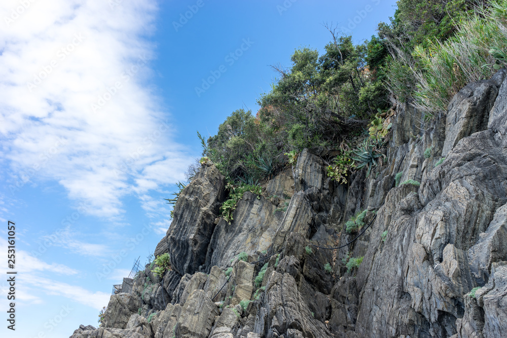 Italy,Cinque Terre,Riomaggiore, a tree in front of a large rock