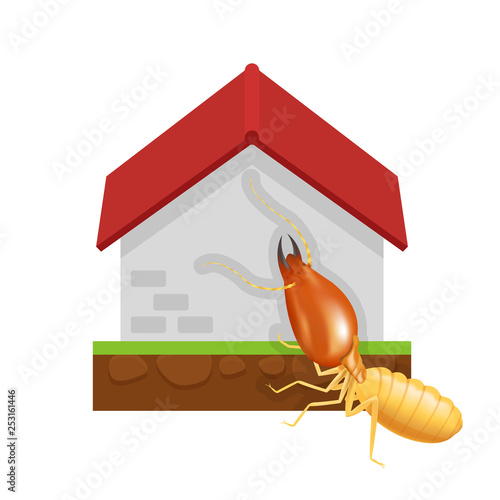 termite and cement house isolated on white background, icon insect species termite ant eaten cement home decay, symbol damaged cement house form termite eaten, cartoon termite clip art and home
