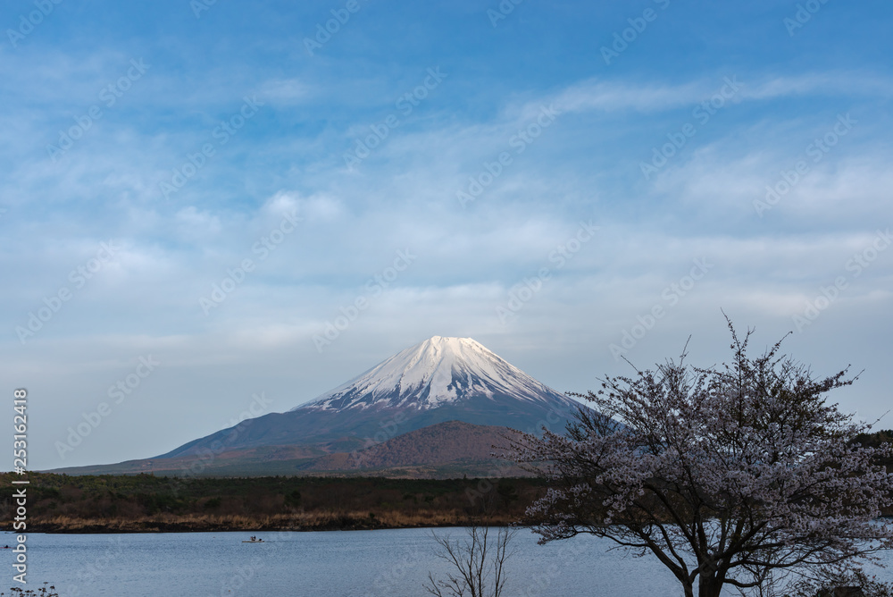 Obraz premium Mount Fuji or Mt. Fuji, the World Heritage, view in Lake Shoji ( Shojiko ). Fuji Five Lake region, Minamitsuru District, Yamanashi prefecture, Japan. Landscape for travel destination.