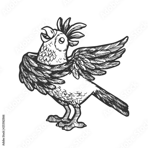 Cartoon singing parrot sketch engraving vector illustration. Scratch board style imitation. Hand drawn image.