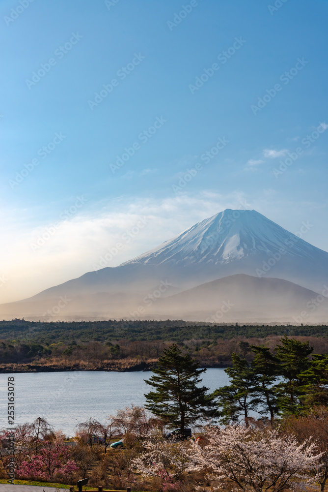 Landscape of Mount Fuji with natural fine sand flying up in the air. The World Heritage. view at Lake Shoji ( Shojiko ) in the morning. Fuji Five Lake region, Minamitsuru District, Yamanashi, Japan.