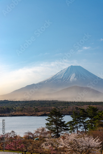 Landscape of Mount Fuji with natural fine sand flying up in the air. The World Heritage. view at Lake Shoji   Shojiko   in the morning. Fuji Five Lake region  Minamitsuru District  Yamanashi  Japan.