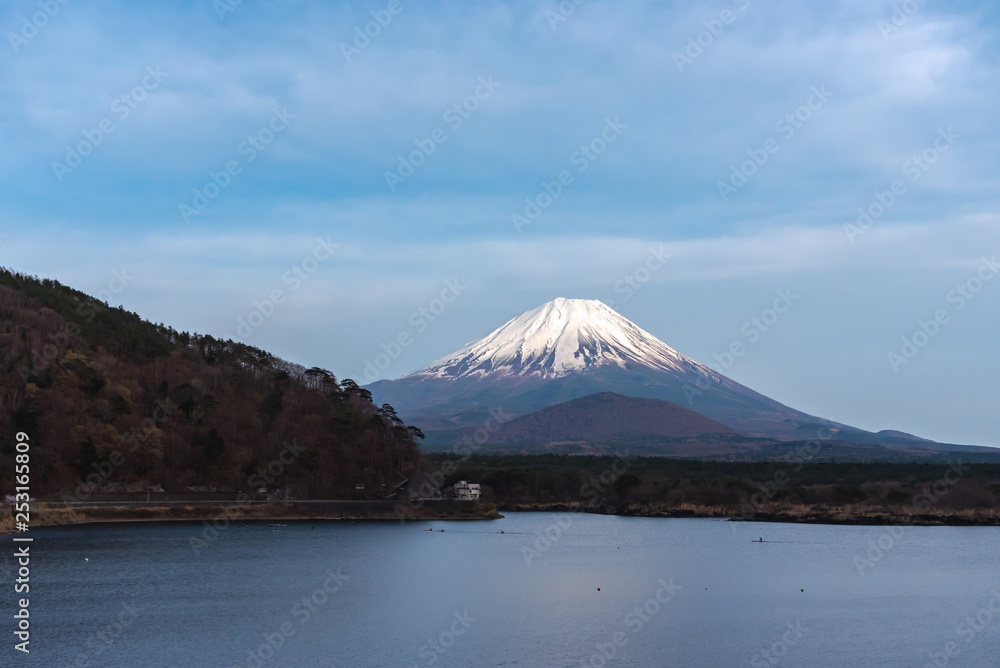 Mount Fuji or Mt. Fuji, the World Heritage, view in Lake Shoji ( Shojiko ). Fuji Five Lake region, Minamitsuru District, Yamanashi prefecture, Japan. Landscape for travel destination.
