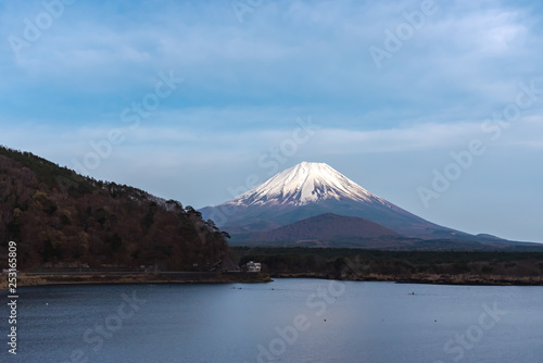 Mount Fuji or Mt. Fuji, the World Heritage, view in Lake Shoji ( Shojiko ). Fuji Five Lake region, Minamitsuru District, Yamanashi prefecture, Japan. Landscape for travel destination.