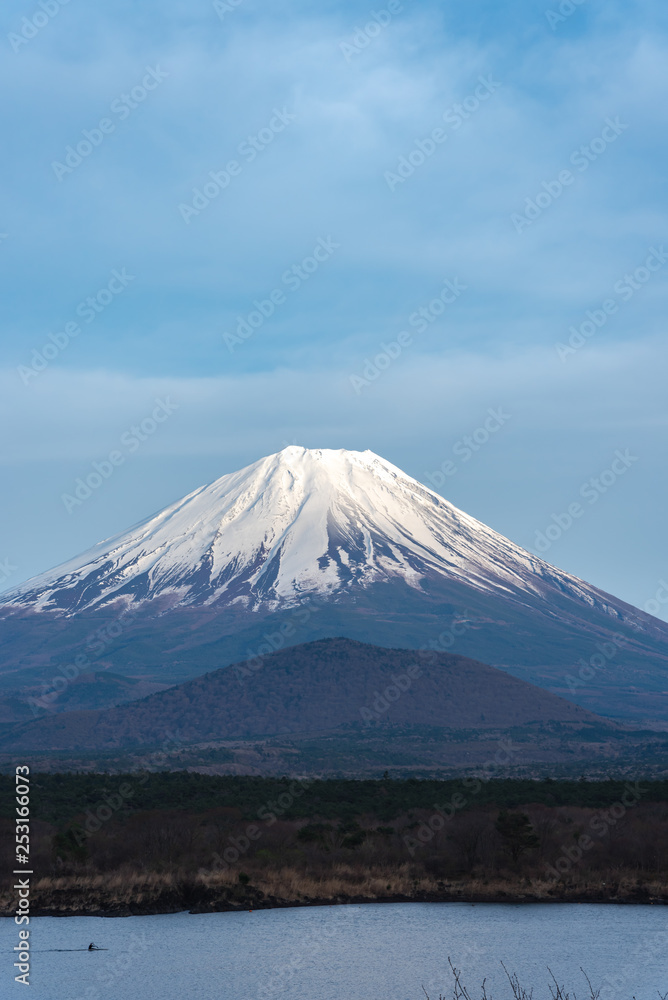 Fototapeta premium Mount Fuji or Mt. Fuji, the World Heritage, view in Lake Shoji ( Shojiko ). Fuji Five Lake region, Minamitsuru District, Yamanashi prefecture, Japan. Landscape for travel destination.
