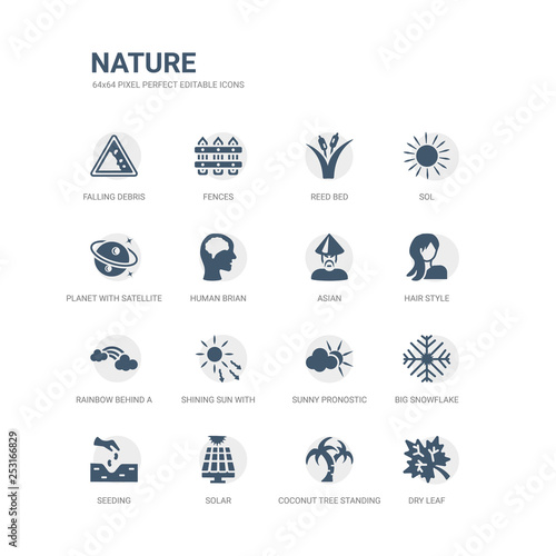 simple set of icons such as dry leaf  coconut tree standing  solar  seeding  big snowflake  sunny pronostic  shining sun with rays  rainbow behind a cloud  hair style  asian. related nature icons
