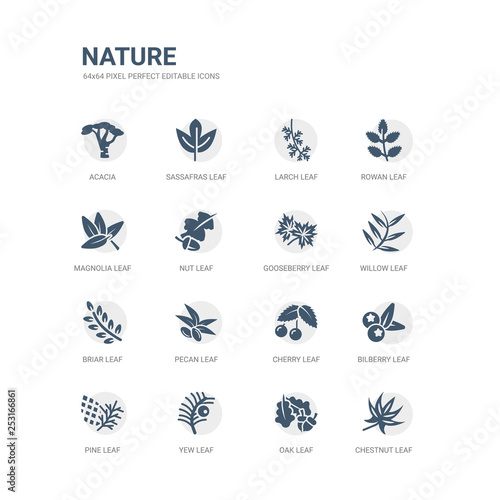 Tablou pe pânză simple set of icons such as chestnut leaf, oak leaf, yew leaf, pine bilberry cherry pecan briar willow gooseberry related nature icons collection