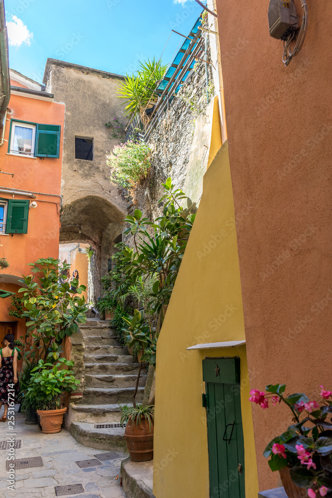 Italy, Cinque Terre, Vernazza, a narrow street