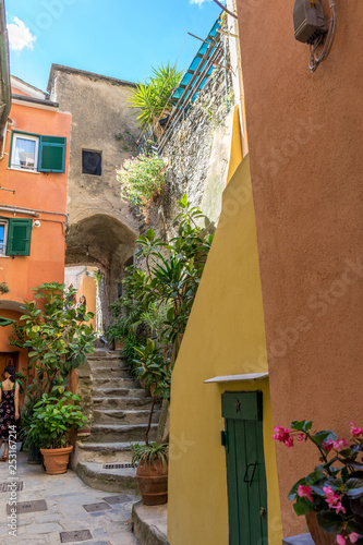 Italy  Cinque Terre  Vernazza  a narrow street