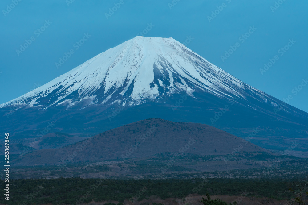 Mount Fuji or Mt. Fuji, the World Heritage, view at Lake Shoji ( Shojiko ). Fuji Five Lake region, Minamitsuru District, Yamanashi prefecture, Japan. Landscape for travel destination.