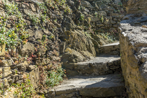 Italy, Cinque Terre, Vernazza, a close up of a rock © SkandaRamana