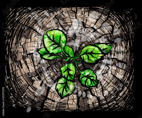 stump growing a new sprout or seedling