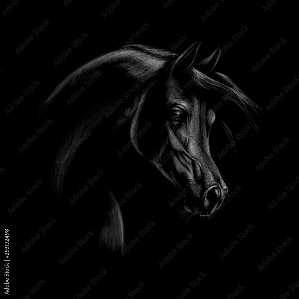 arabian-horse-wallpapers-for-mobile-infoupdate