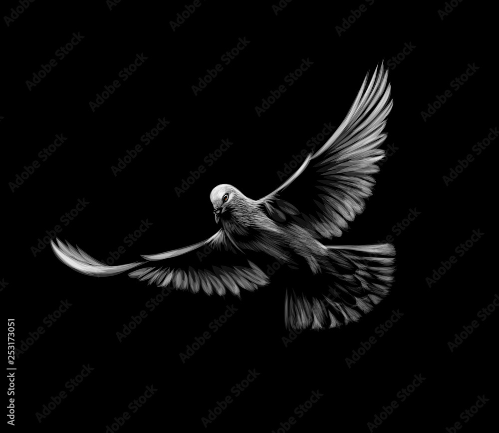 Flying white dove on a black background. - obrazy, fototapety, plakaty 