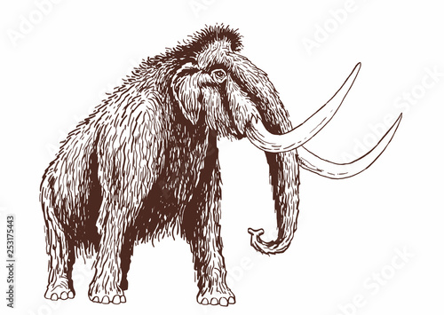 Graphical vintage mammoth ,vector illustration
