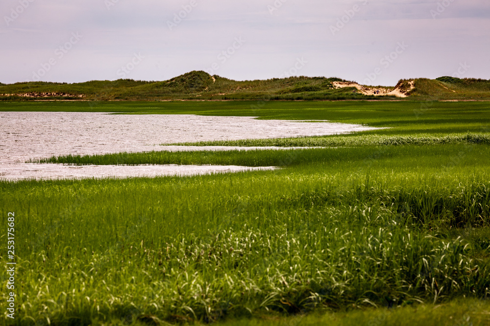 Dunes in the Distance Dunes in the Distance