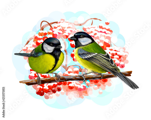 Tit birds sitting on a branch on white background, hand drawn sketch
