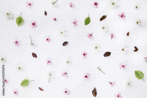 Variety of pink and white blossoms pattern composition on white background. Easter, spring, summer concept. Flat lay, top view
