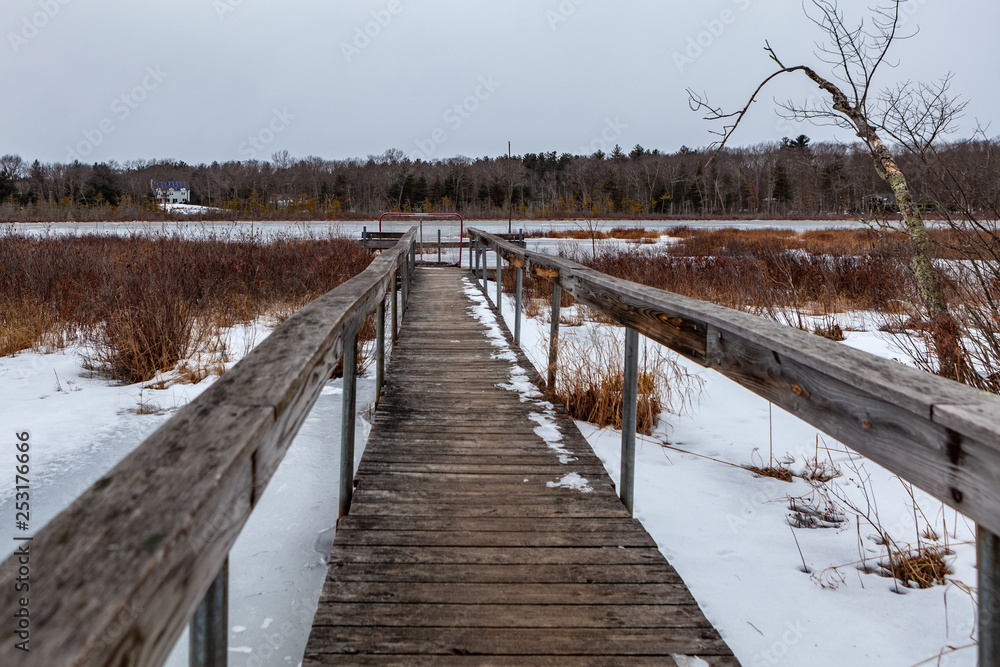 Naklejka premium Acton, United States, February 27, 2019. Grassy Pond Conservation Area or raw nature in winter time, Massachusetts, United States
