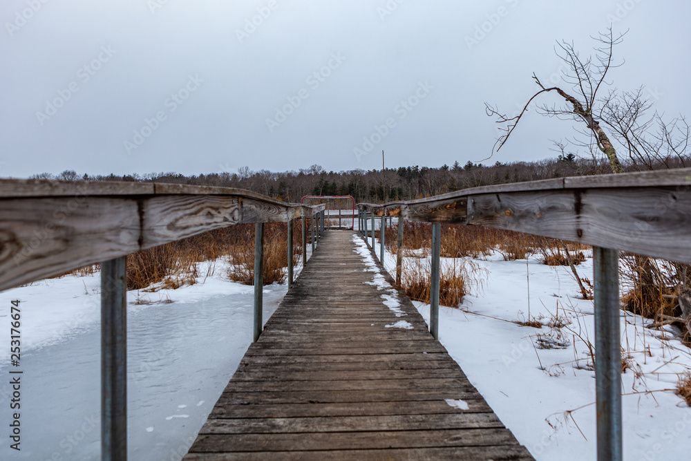 Naklejka premium Acton, United States, February 27, 2019. Grassy Pond Conservation Area or raw nature in winter time, Massachusetts, United States