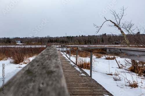Acton, United States, February 27, 2019. Grassy Pond Conservation Area or raw nature in winter time, Massachusetts, United States © Deyan