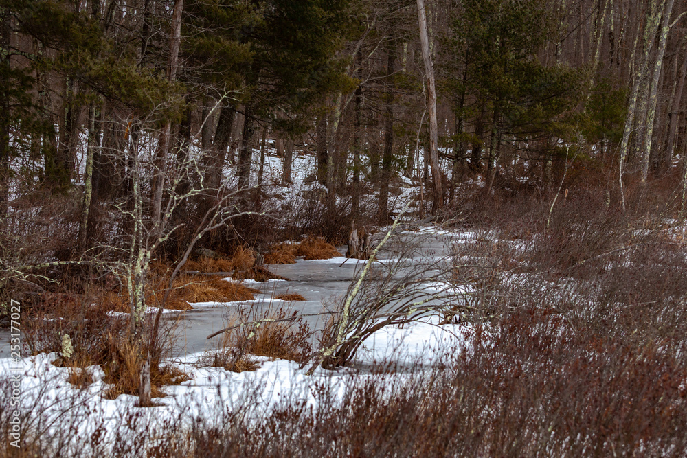 Acton, United States, February 27, 2019. Grassy Pond Conservation Area or raw nature in winter time, Massachusetts, United States