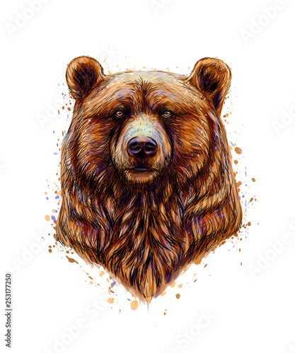 Portrait of a brown bear head from a splash of watercolor