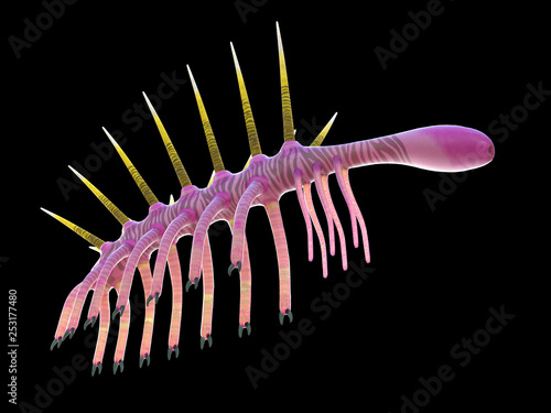 3d rendered illustration of a pre-historic marine creature - hallucigenia photo