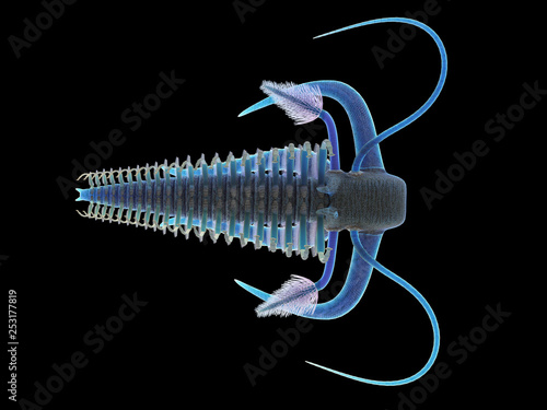 3d rendered illustration of a pre-historic marine creature - marella photo