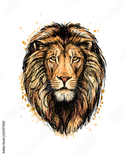 Portrait of a lion head from a splash of watercolor